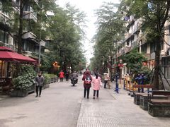 -泡桐树街