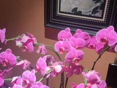 -霖公馆SPA·足道(普善路店)