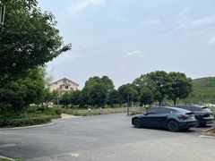 -龙坞茶村