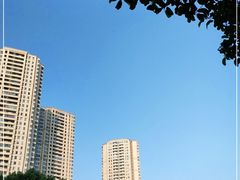 -重庆市江北嘴中央商务区中央公园