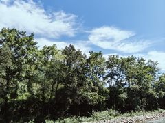 -大连天门山国家森林公园