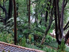 -成都市活水公园