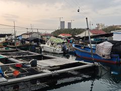 -蓝湾碧波·老字号·疍家非遗海上餐厅