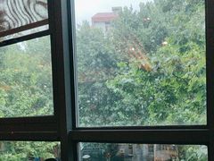 -古南都·老广东酒楼(龙江店)