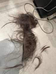 -HairCode芭曲发型