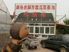 -庞各庄翠芳园西瓜蔬菜基地采摘园