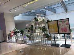 -叶子与茶(苏宁广场店)