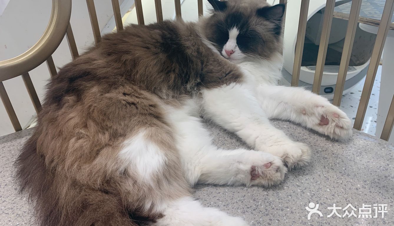 期望有多大，失望就有多大吧！第一次这样的……