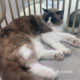 期望有多大，失望就有多大吧！第一次这样的……