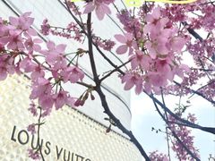 -LV路易威登(国际广场店)