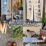 南阳美食｜在南阳也能吃到综艺节目【五哈】同款东北美食了🌶