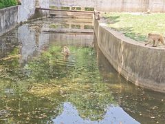 -合肥野生动物园