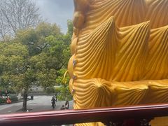 -西湖游船