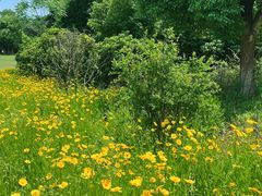 -盘龙城国家考古遗址公园