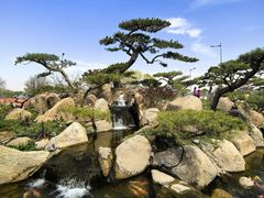 -罗红摄影艺术馆