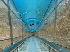 -鹿院坪生态旅游景区