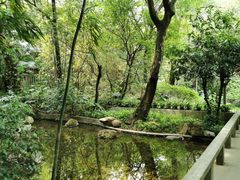 -广州兰圃