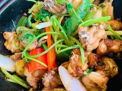 鸡煲-炳哥美食