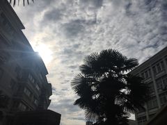 -浙江越秀外国语学院