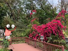 -深圳国际园林花卉博览园