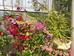 -顺德演艺中心大剧院