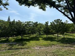 -苏州上方山国家森林公园