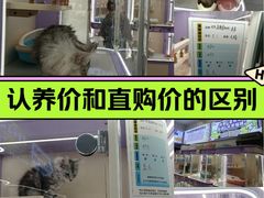 -南京时尚莱迪购物广场(正洪街店)