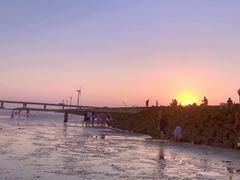 -南汇嘴观海公园