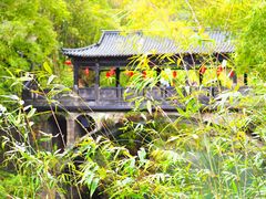 -三峡人家风景区