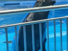 -多彩贵州城极地海洋世界