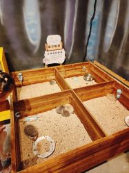 -酷嗒动物文化乐园(cutezoo西溪乐天城店)