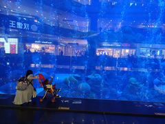 -成都浩海立方海洋公园