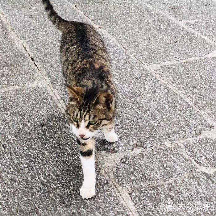 黄鹤楼公园(黄鹤楼)图片