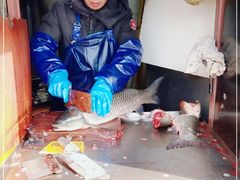 -梅记大块头爆鱼店(乍浦路店)