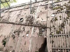 -观澜山水田园