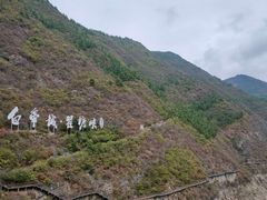 -白帝城·瞿塘峡景区