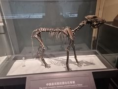 -大庆市博物馆