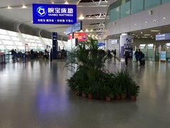 -合肥新桥国际机场-航站楼