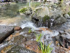 -石台牯牛降景区