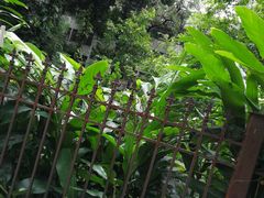 -广州中医药大学三元里校区-篮球场