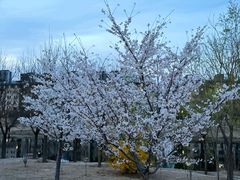 -马家湾湿地公园