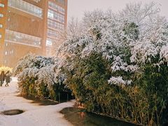-中国人民大学明德堂(人大如论讲堂)
