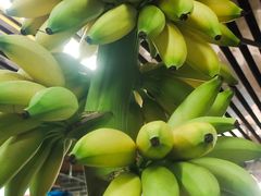 -南沙十九涌渔人码头-南门