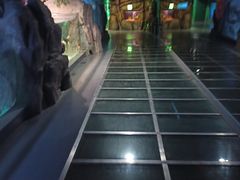 -常州海昌海洋探索馆