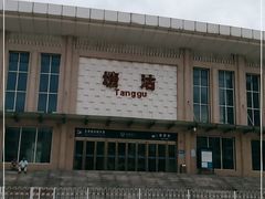 -塘沽站