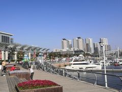 -青岛海滨风景区