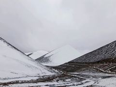 -尼泊尔雪莲餐厅(北京东路店)