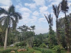 -深圳仙湖植物园