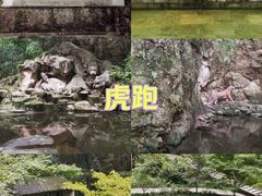 -虎跑公园