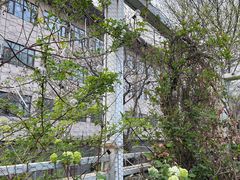 -小时光咖啡馆(北锣鼓巷店)